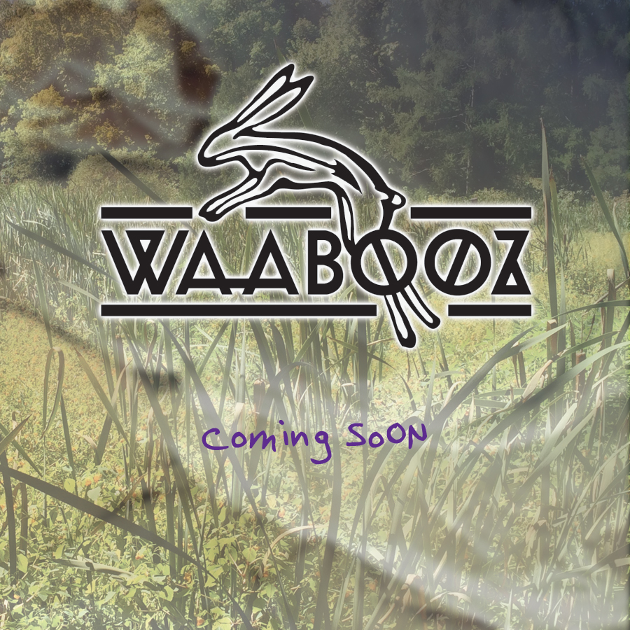 Waabooz the Movie 